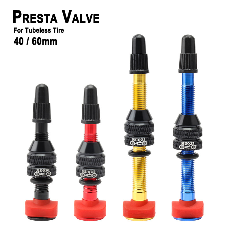 MTB Mountain Bike Presta Valve - مراجعة Mountain Biking In French وسعره