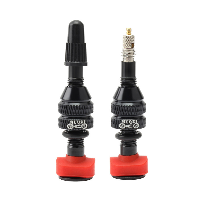 MTB Mountain Bike Presta Valve - مراجعة Mountain Biking In French وسعره