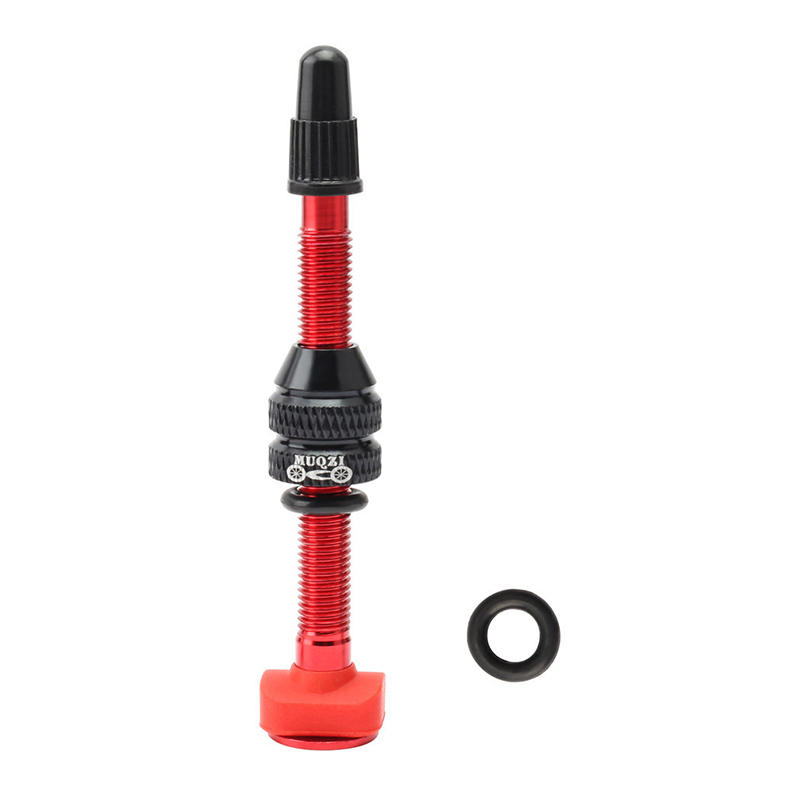 MTB Mountain Bike Presta Valve - مراجعة Mountain Biking In French وسعره
