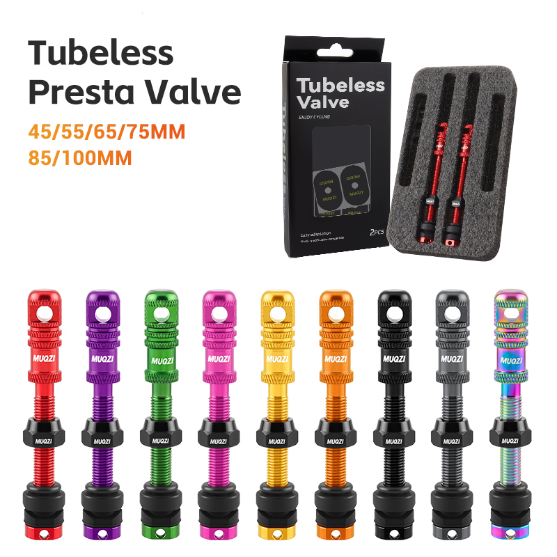 Alloy Bike Tubeless Presta Val - مراجعة Mountain Biking In French وسعره