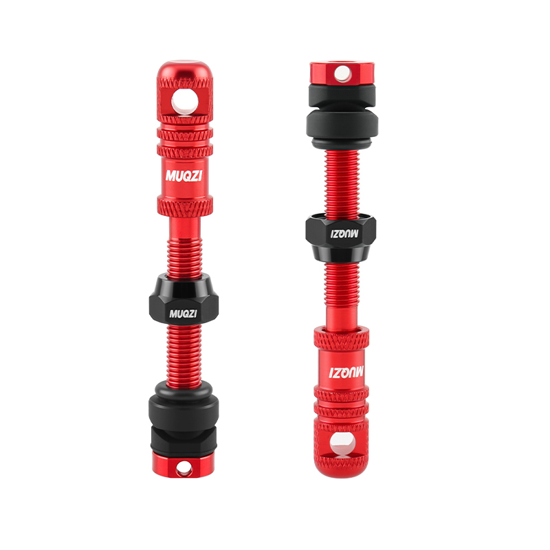 Alloy Bike Tubeless Presta Val - مراجعة Mountain Biking In French وسعره