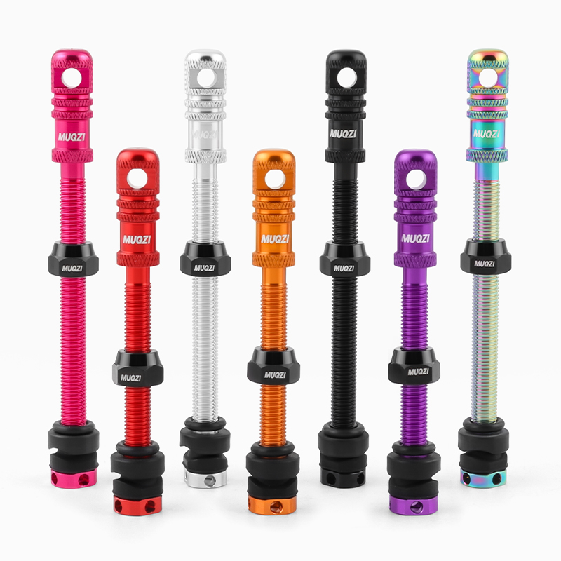 Alloy Bike Tubeless Presta Val - مراجعة Mountain Biking In French وسعره